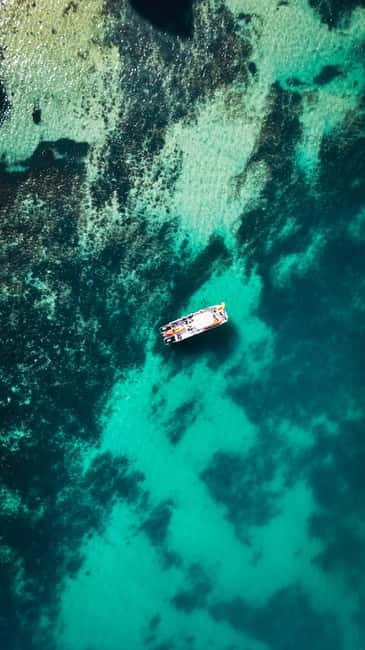 From Lagos: Ponta da Piedade Caves Kayak Tour from Catamaran - Key points at a glance