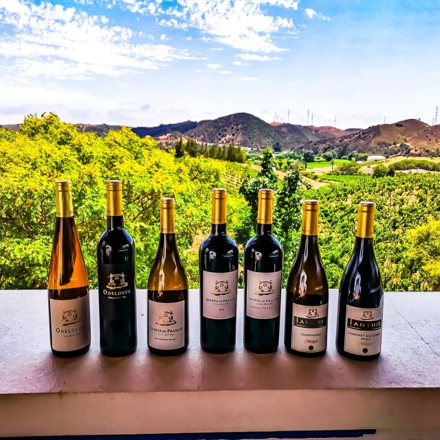 From Lagos: Small-Group 4-Hour Wine Tasting Tour - Key points at a glance