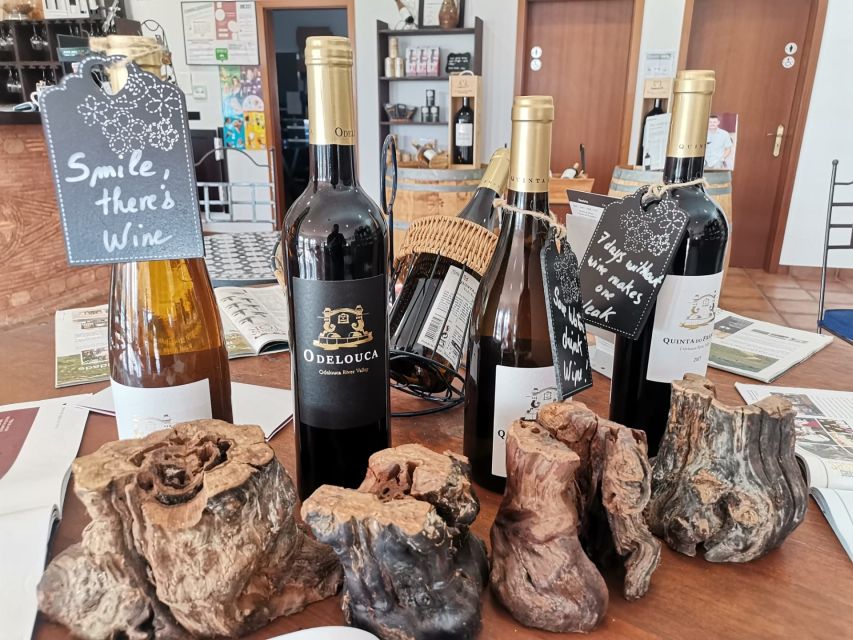 From Lagos: Small-Group 4-Hour Wine Tasting Tour - The 15-minute return through orange and cork country