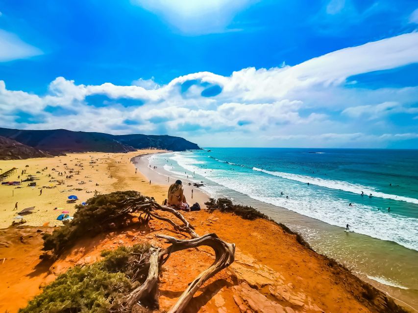 From Lagos: Wild and Wonderful West Coast Full-Day Tour - The minivan and guide make or break the day
