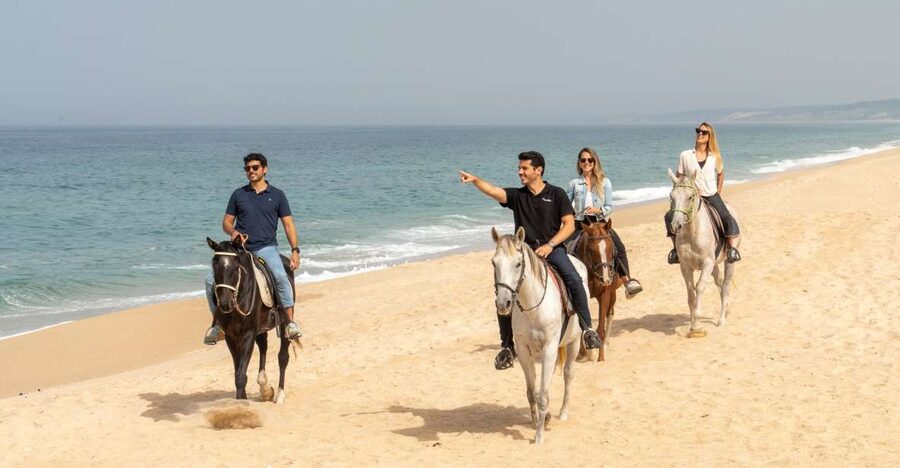 From Lisbon: Comporta and Setúbal Trip with Horseback Riding - Key points to know before you book