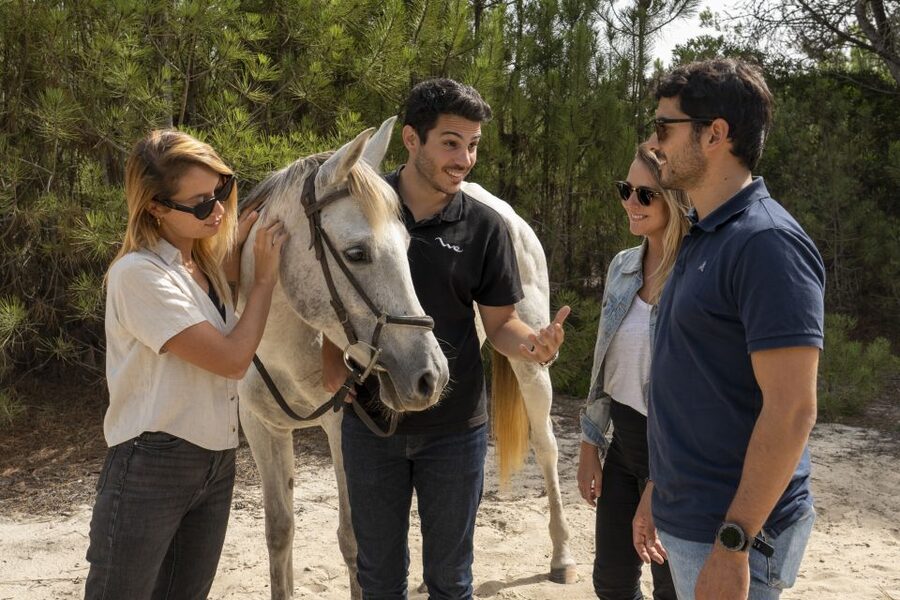 From Lisbon: Comporta and Setúbal Trip with Horseback Riding - Timing, comfort, and practical planning