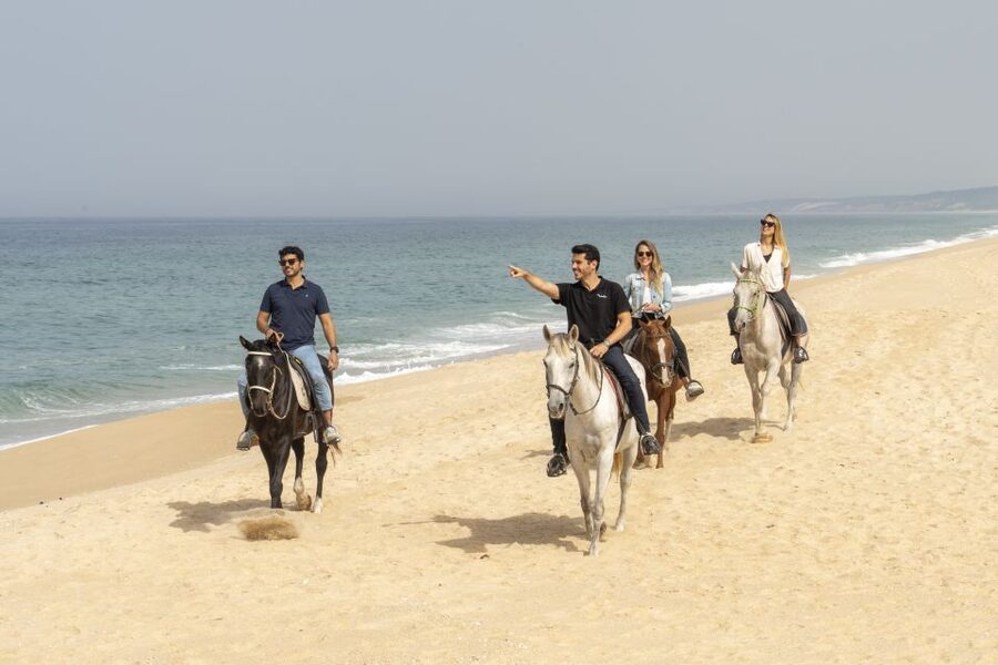 From Lisbon: Comporta and Setúbal Trip with Horseback Riding - Why this Lisbon day trip feels different