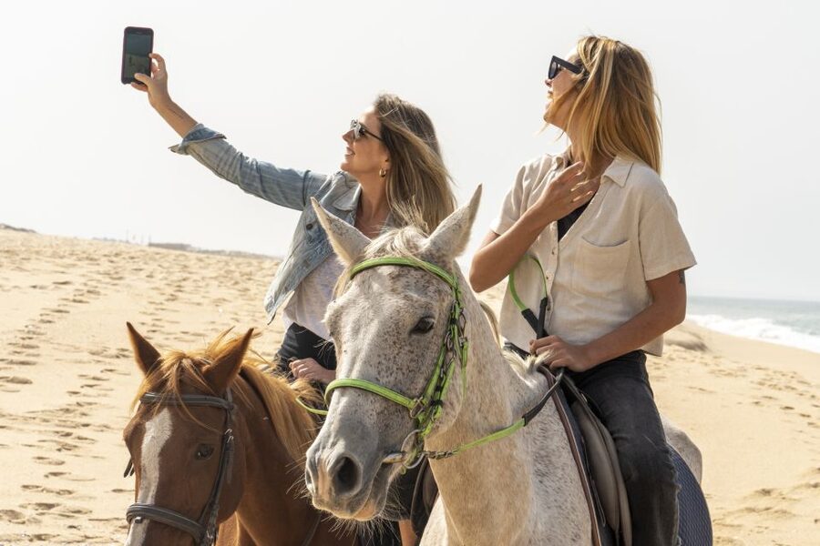 From Lisbon: Comporta and Setúbal Trip with Horseback Riding - Setúbal and the Livramento Market