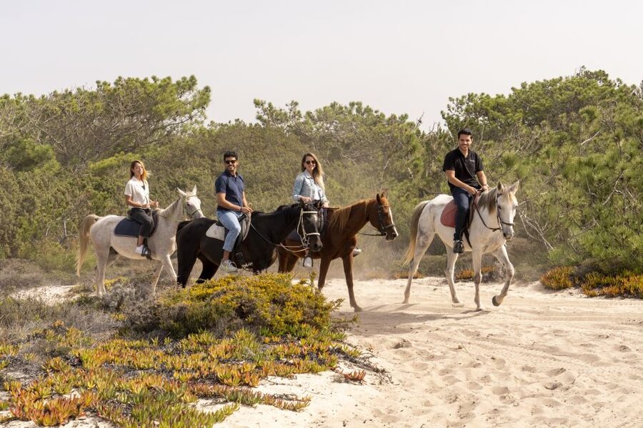 From Lisbon: Comporta and Setúbal Trip with Horseback Riding - The beach, dunes, and wildlife views