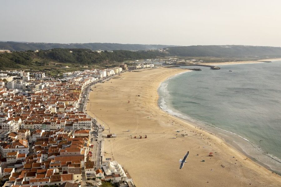 From Lisbon: Day Trip to Porto, Óbidos, and Nazaré - Should you book this Porto day trip?