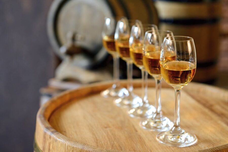 From Lisbon: Évora Wine & Heritage Tour - Key points at a glance