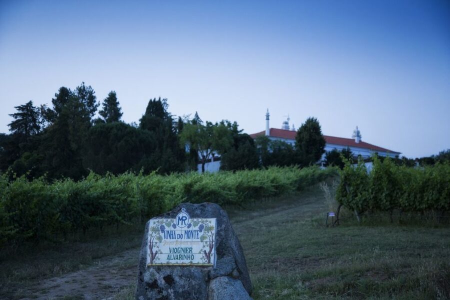 From Lisbon: Évora Wine & Heritage Tour - My take: book it for the mix, not the speed