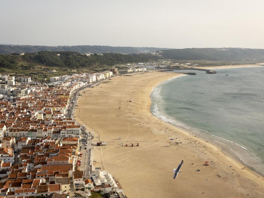 From Lisbon: Fátima, Nazaré and Sintra Guided Tour - Why this day trip works