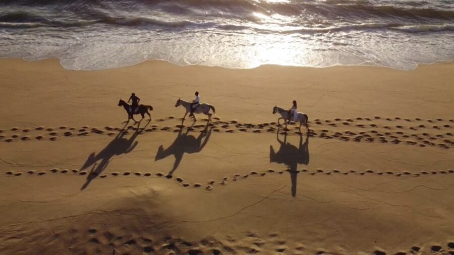 From Lisbon: Horseback Riding on Comporta Beach - From Lisbon to Comporta’s Atlantic coast