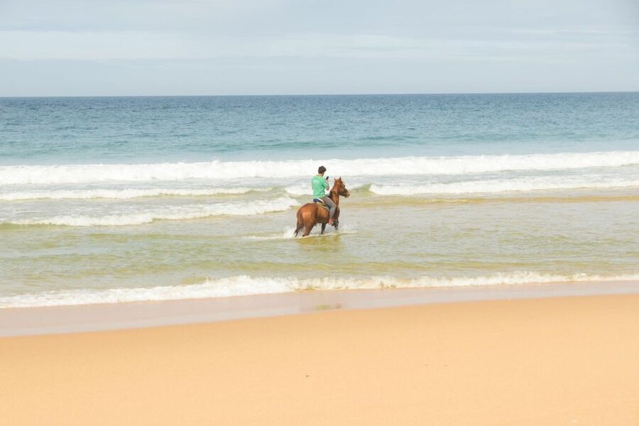 From Lisbon: Horseback Riding on Comporta Beach - Through the Atlantic forest and over the dunes