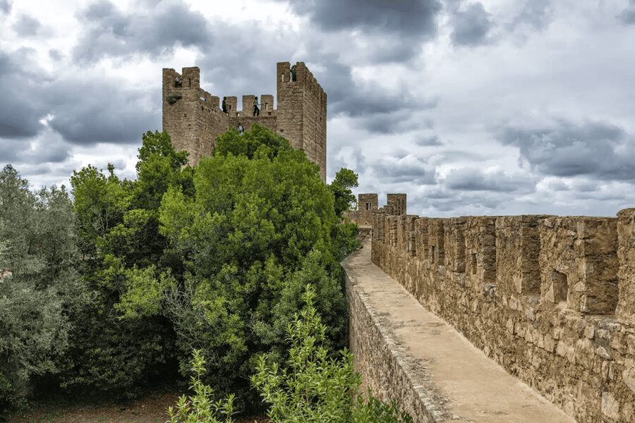 From Lisbon: Nazare Big Waves and Óbidos Guide Day Trip - What the guides add