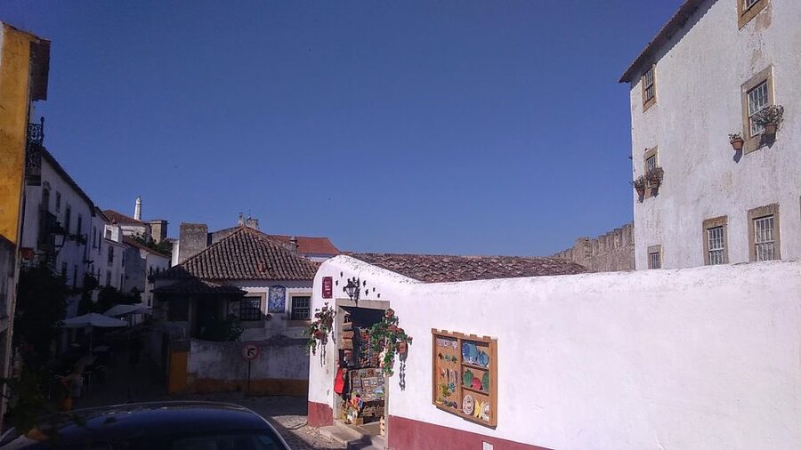 From Lisbon: Private Óbidos and Nazaré Tour - Why Óbidos and Nazaré work well together