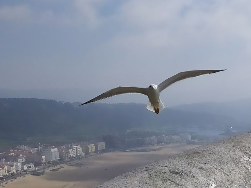 From Lisbon: Private Óbidos and Nazaré Tour - Nazaré Beach and its fishing-town character