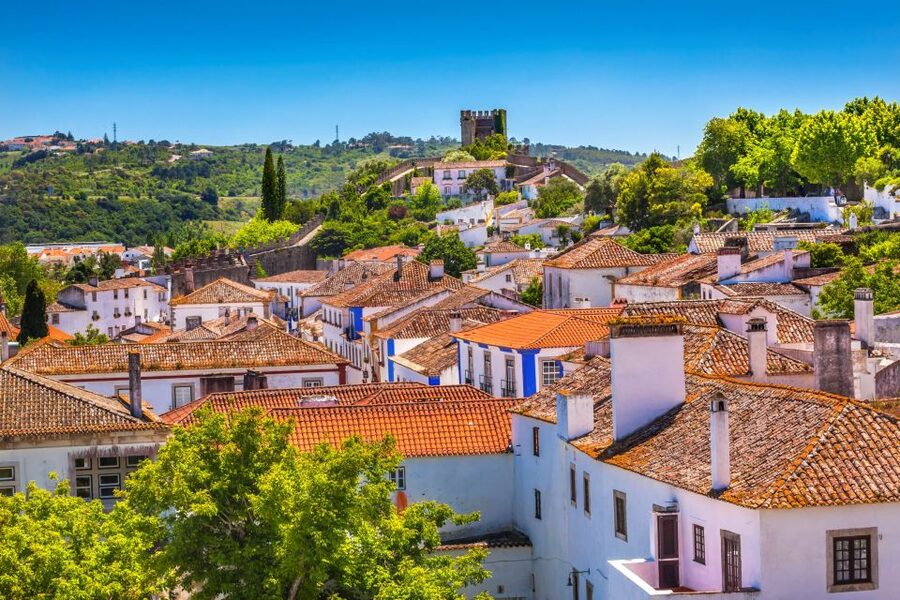 From Lisbon: Private Óbidos and Nazaré Tour - What the $335 price really buys