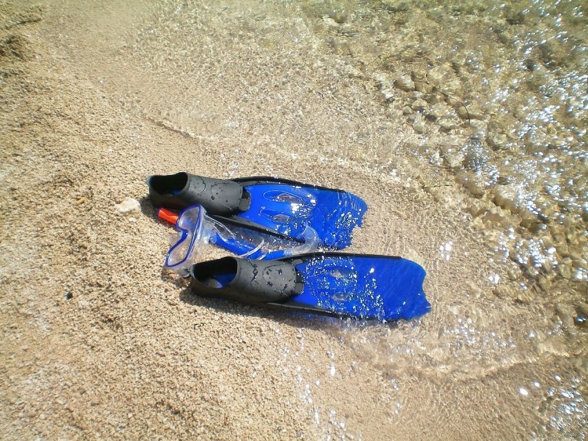 From Lisbon: Sesimbra Wild Beach Tour - Key points to know before booking