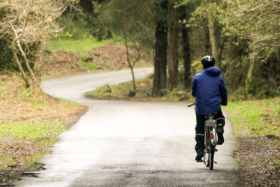 From Lisbon: Sintra to Cascais Full-Day Guided E-Bike Tour - The downhill return and a final view of Pena Palace