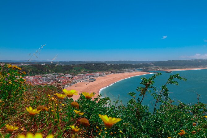 From Lisbon: Small Group to Pena Palace, Nazaré & Fátima - Why this day trip works from Lisbon