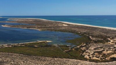 Ria Formosa 3-Island Full-Day Tour