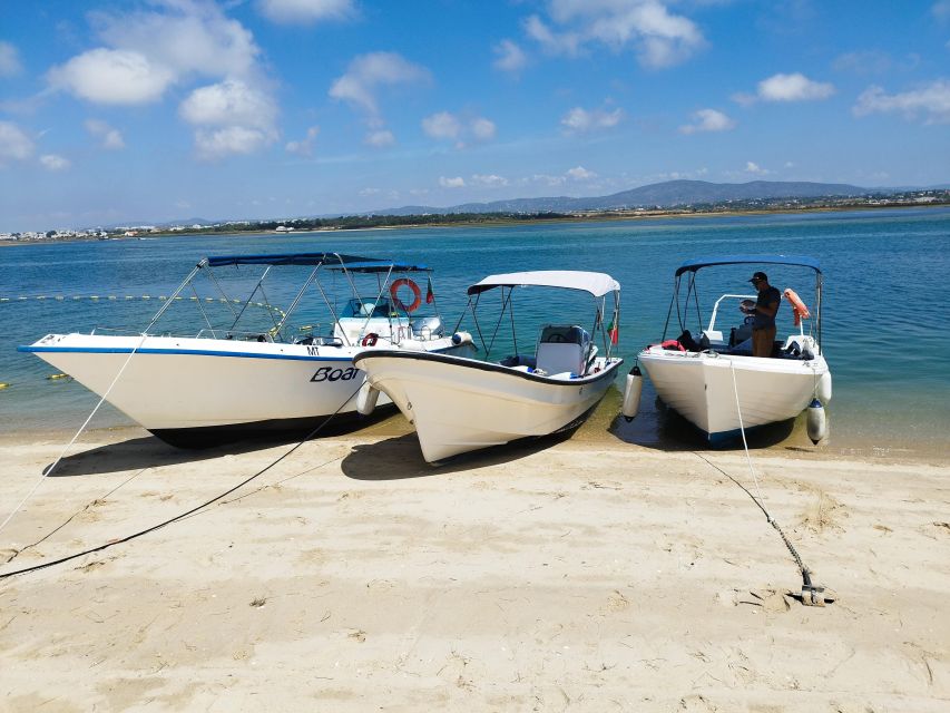 From Olhão: Ria Formosa 3-Island Full-Day Tour - What the guide adds to the experience