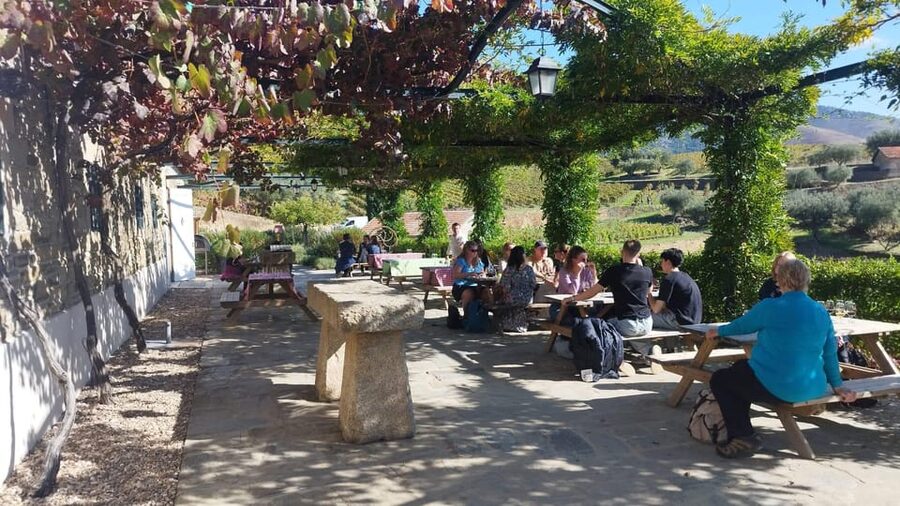 From Pinhão: Douro Valley Tour w/ Wine Tasting and Boat Trip - The viewpoint and the climb above the river