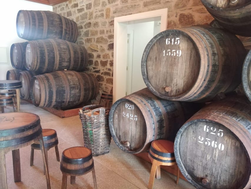 From Pinhão: Douro Valley Tour w/ Wine Tasting and Boat Trip - Who should book this experience?