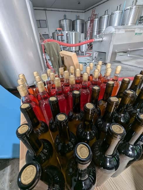 From Porto: 2 Wine Regions, Farm-to-Table Lunch & Boat - The fiery Vintage Porto bottle opening