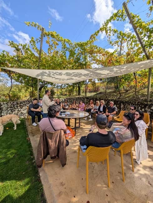 From Porto: 2 Wine Regions, Farm-to-Table Lunch & Boat - Pinhão and the one-hour private boat cruise