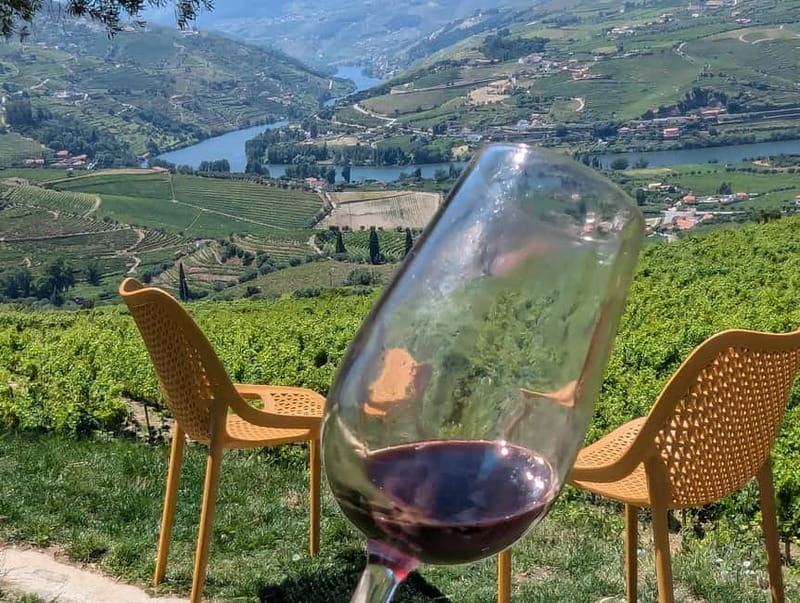 From Porto: 2 Wine Regions, Farm-to-Table Lunch & Boat - Food, wine, and the real value of $127