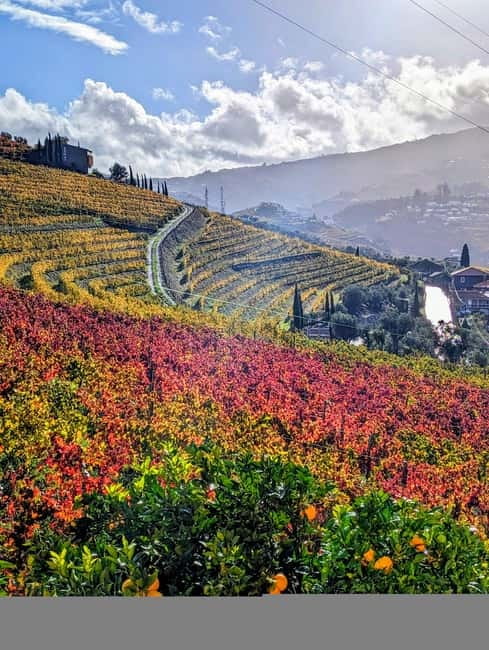 From Porto: 2 Wine Regions, Farm-to-Table Lunch & Boat - How demanding is this 10-hour schedule?