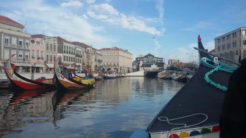 From Porto: Aveiro & Coimbra Tour with Moliceiro Boat Cruise - Key points to know before you go