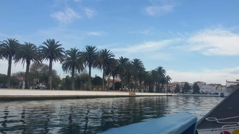From Porto: Aveiro & Coimbra Tour with Moliceiro Boat Cruise - Free time for lunch in Aveiro or Coimbra