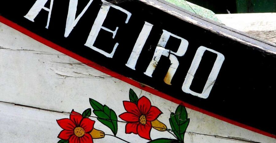 From Porto: Aveiro Half-Day Tour with 1-Hour Cruise - Is $54 a fair price?