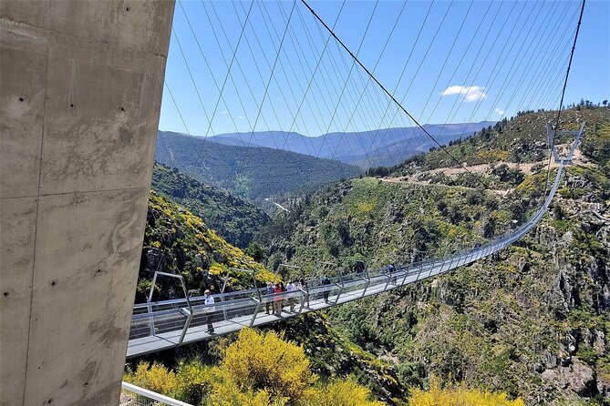 From Porto: Aveiro, Paiva Walkways, Suspension Bridge and Lunch - Why this day trip works from Porto