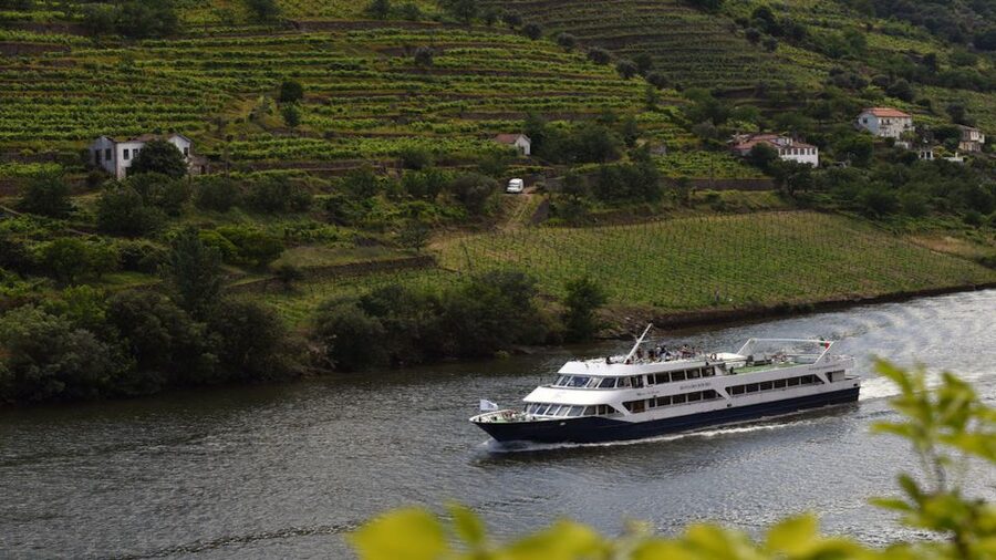 From Porto: Douro River Cruise, Winery Visit & Lunch - Régua and the Douro wine country