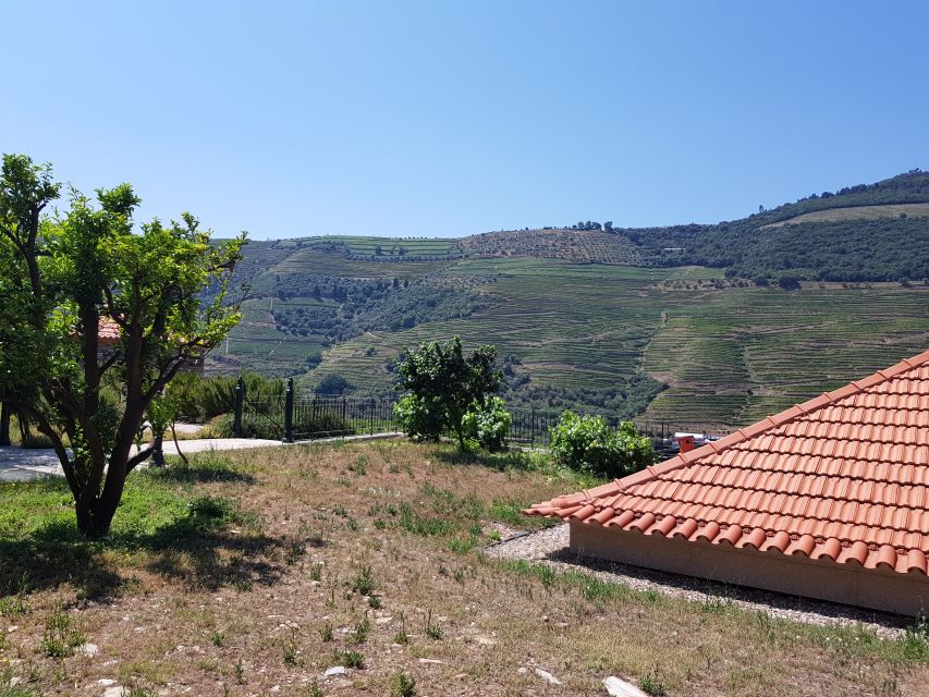 From Porto: Douro Valley 3 Vineyards Tour with Lunch - River views and the road beside the Douro