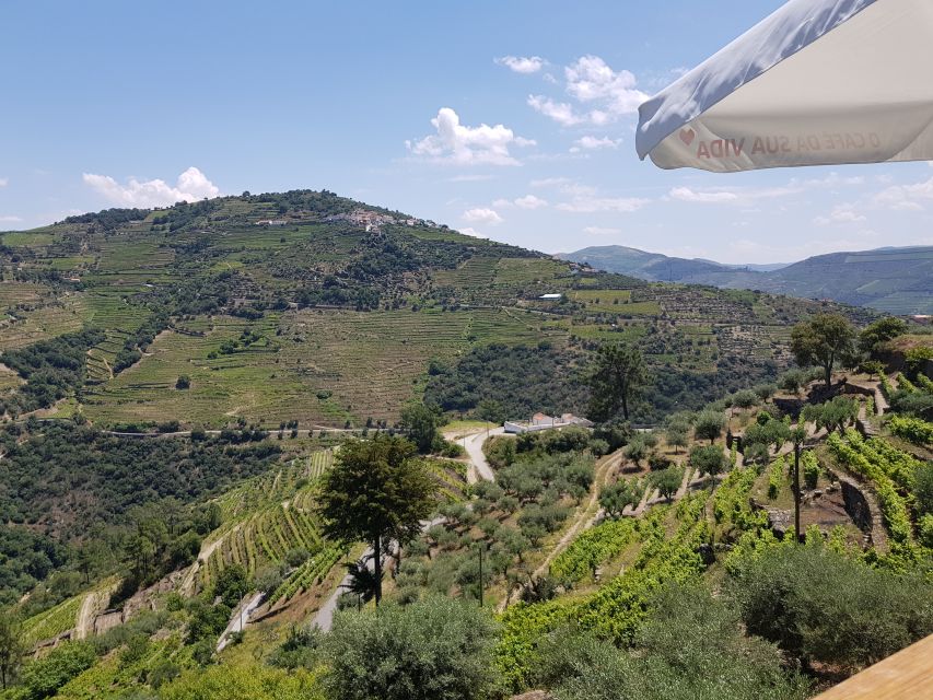From Porto: Douro Valley 3 Vineyards Tour with Lunch - Is $108 a good price?