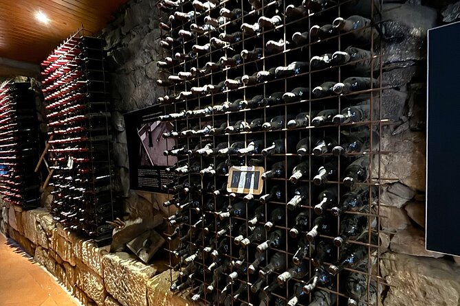 From Porto: Douro Valley Tour with 2 Wineries, Lunch and Cruise - The guides make the difference