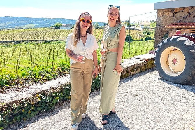 From Porto: Douro Valley Tour with 2 Wineries, Lunch and Cruise - The van ride and group size
