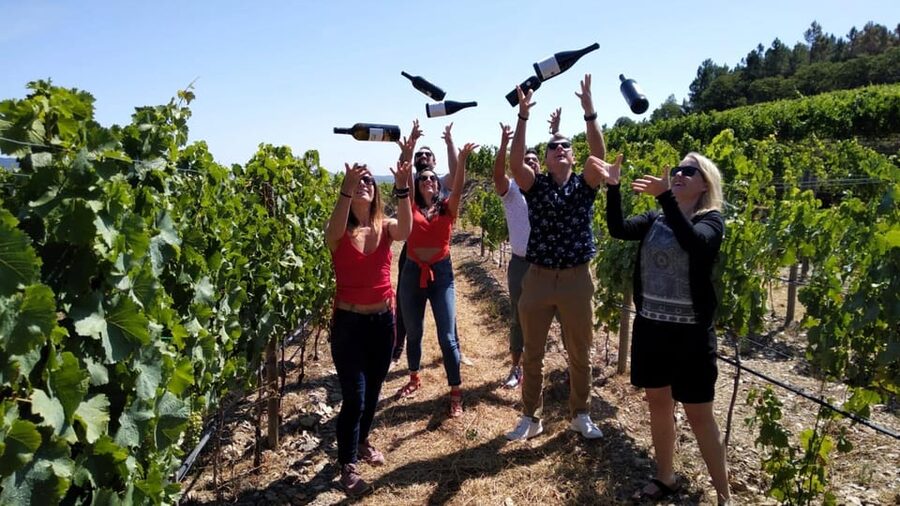 From Porto: Douro Valley Tour with Tastings, Boat & Lunch - The first family winery and Douro DOC wines
