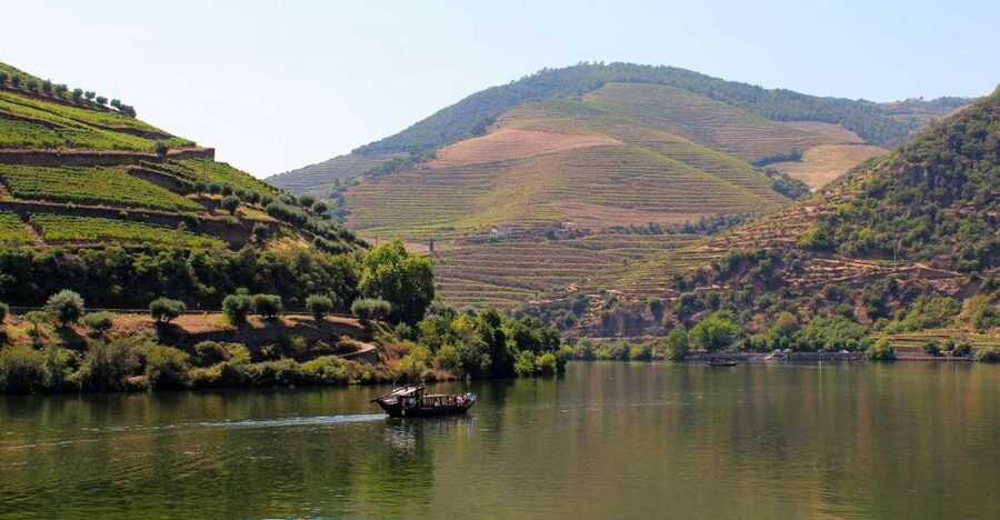 From Porto: Douro Valley Tour with Tastings, Boat & Lunch - Is $165 a fair price?