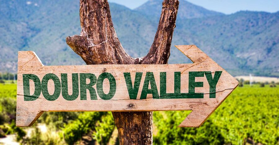 From Porto: Douro Valley w/ Boat Tour, Wine Tasting & Lunch - Who should book this Douro day