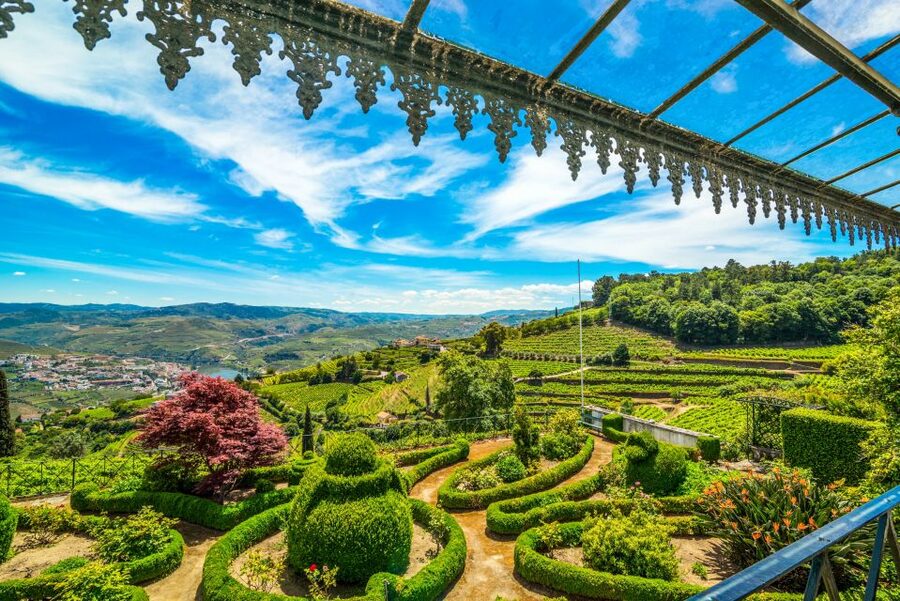 From Porto: Douro Valley w/ Boat Tour, Wine Tasting & Lunch - The N222 and the drive toward Pinhão