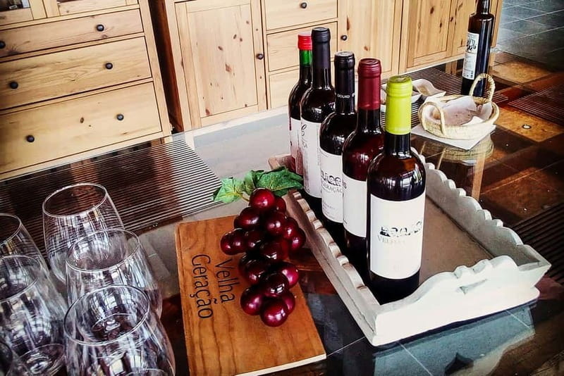 From Porto: Douro Valley with Wineries, Lunch and Boat Trip - Key points to know before booking