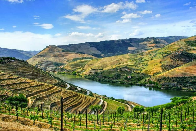 From Porto: Douro Valley with Wineries, Lunch and Boat Trip - Why this Douro day trip works so well