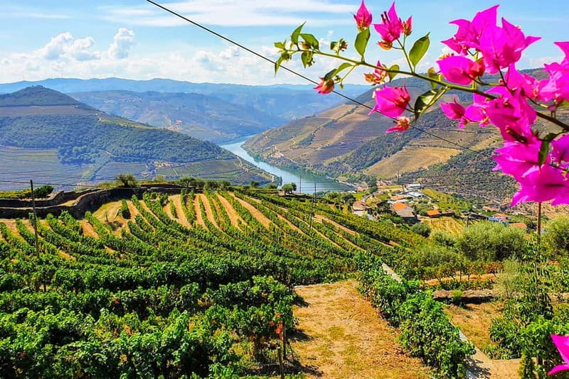 From Porto: Douro Valley with Wineries, Lunch and Boat Trip - Quinta do Seixo and the first Port tasting