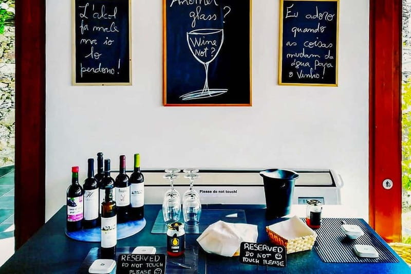 From Porto: Douro Valley with Wineries, Lunch and Boat Trip - The Douro River from a Rabelo boat