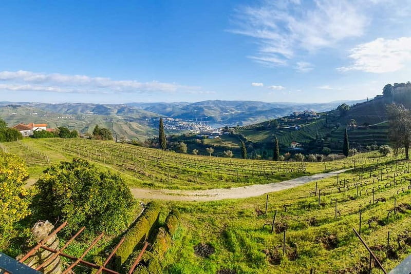 From Porto: Douro Valley with Wineries, Lunch and Boat Trip - Pinhão and the second tasting