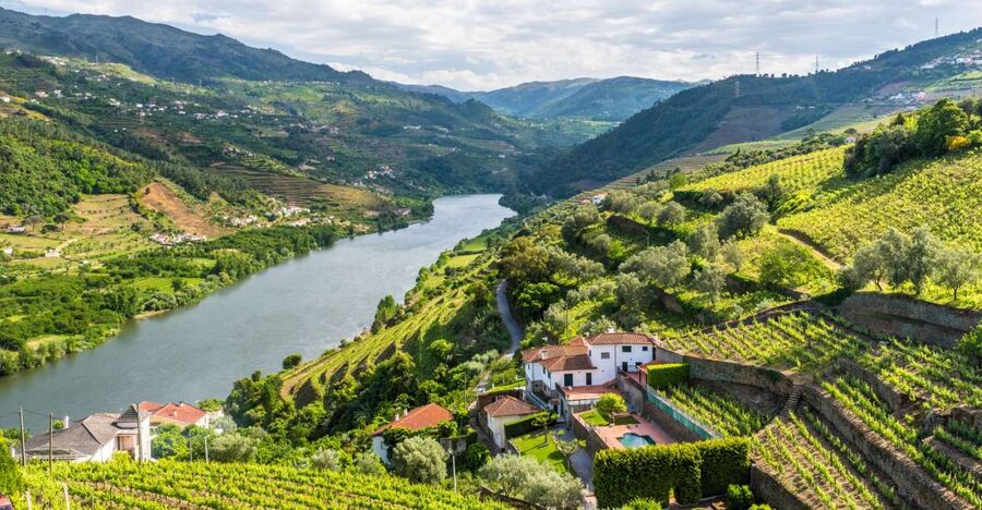 From Porto: Full-Day Douro Historical Tour - Key points to know before booking