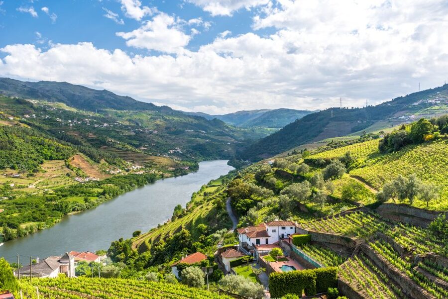 From Porto: Full-Day Douro Historical Tour - Why this Douro day works from Porto